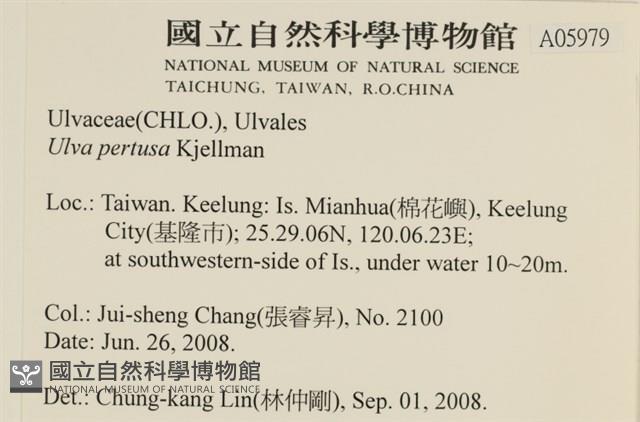 石蓴藏品圖，第2張