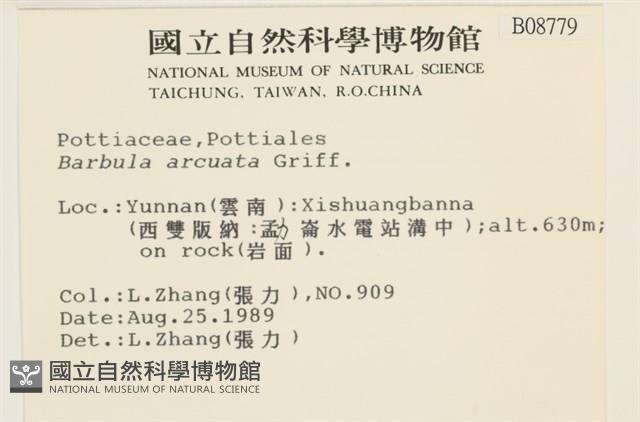 登錄號:B00008779藏品圖，第2張