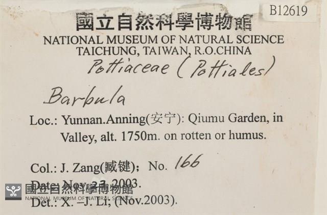 登錄號:B00012619藏品圖，第2張