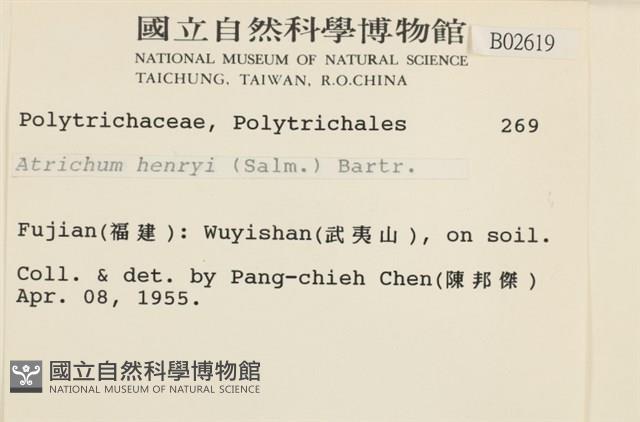 小仙鶴蘚藏品圖，第2張