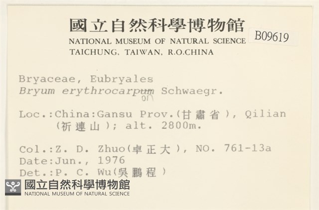 登錄號:B00009619藏品圖，第2張