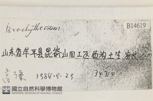 登錄號:B00014619藏品圖，第2張