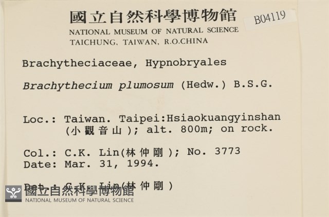 羽枝青蘚藏品圖，第2張