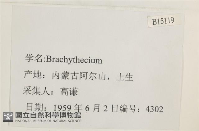 登錄號:B00015119藏品圖，第2張