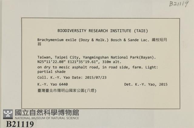 登錄號:B00021119藏品圖，第2張