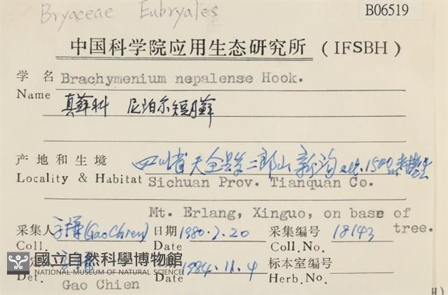 那霸短月蘚藏品圖，第2張