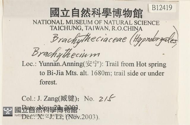 登錄號:B00012419藏品圖，第2張