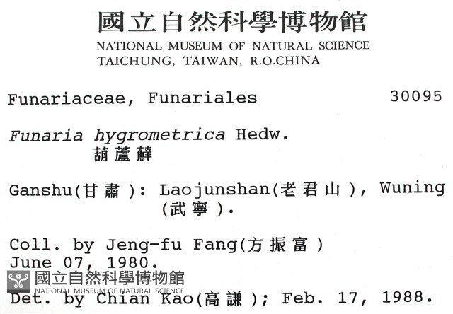 葫蘆蘚藏品圖，第2張
