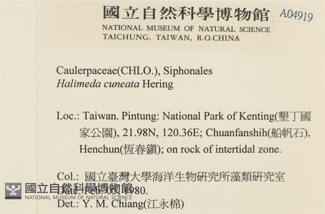 登錄號:A00004919藏品圖，第2張