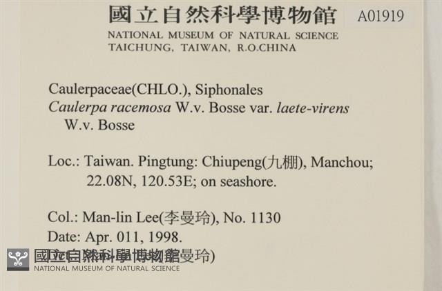 登錄號:A00001919藏品圖，第3張