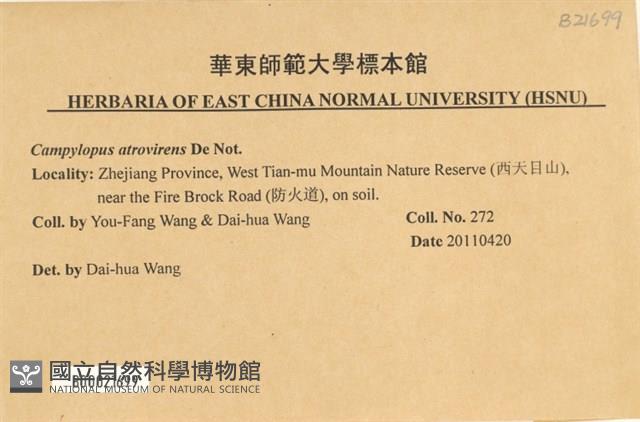 登錄號:B00021699藏品圖，第2張