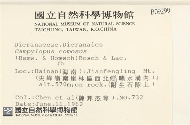 登錄號:B00009299藏品圖，第2張