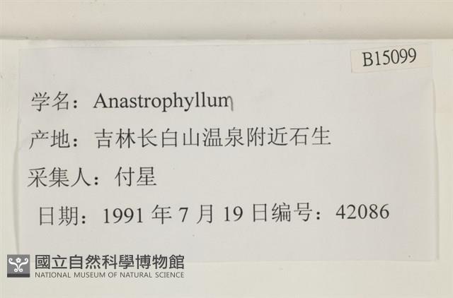 登錄號:B00015099藏品圖，第2張