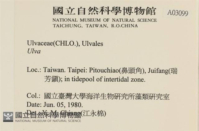 登錄號:A00003099藏品圖，第2張