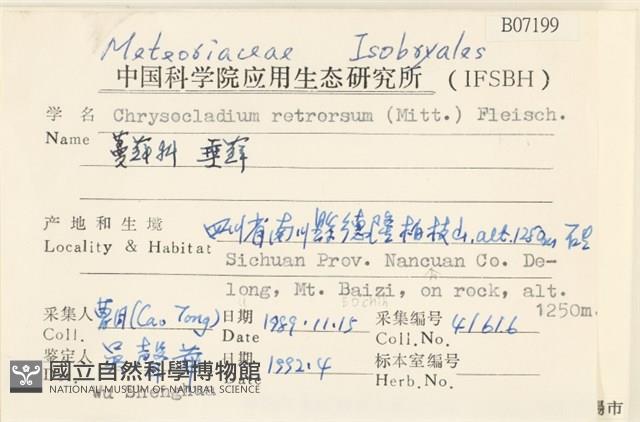 登錄號:B00007199藏品圖，第2張