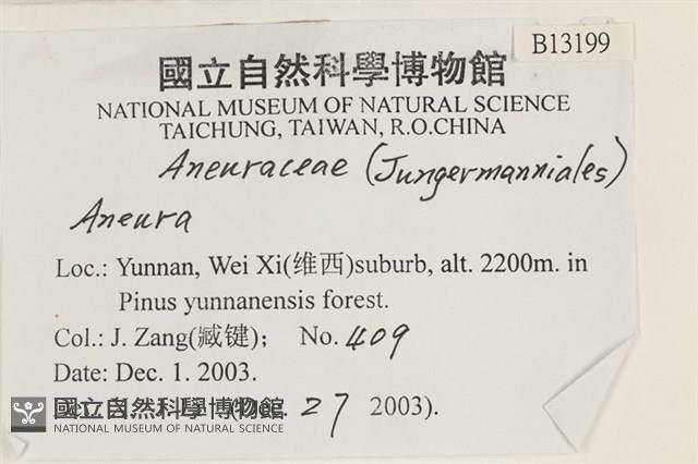 登錄號:B00013199藏品圖，第2張