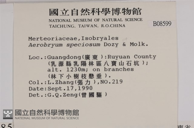 登錄號:B00008599藏品圖，第2張