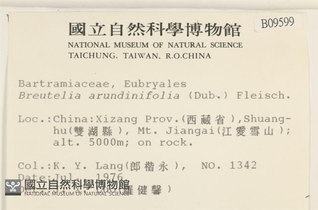 大熱澤蘚藏品圖，第2張