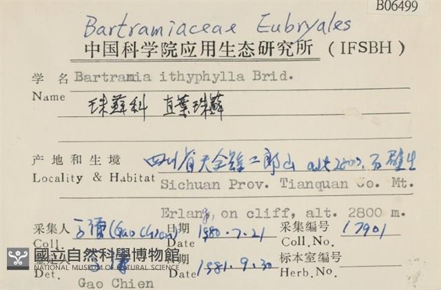 直葉珠蘚藏品圖，第2張