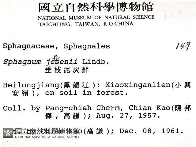 垂枝泥炭蘚藏品圖，第2張