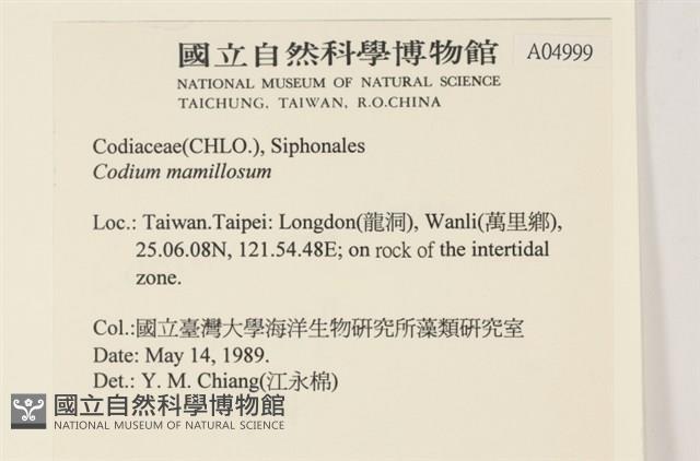 登錄號:A00004999藏品圖，第2張