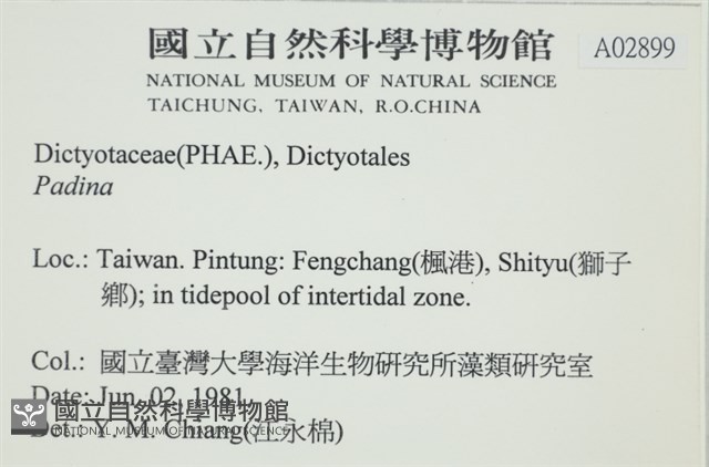 登錄號:A00002899藏品圖，第2張