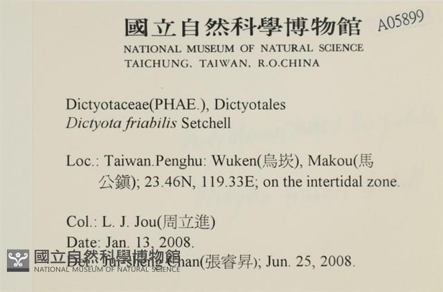 登錄號:A00005899藏品圖，第2張