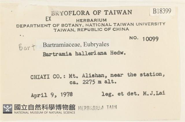 登錄號:B00018399藏品圖，第2張