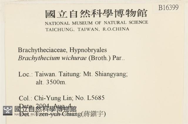 威氏青蘚藏品圖，第2張