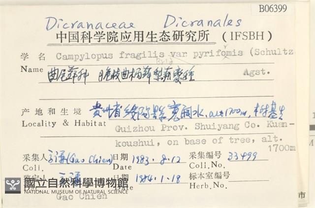 登錄號:B00006399藏品圖，第2張