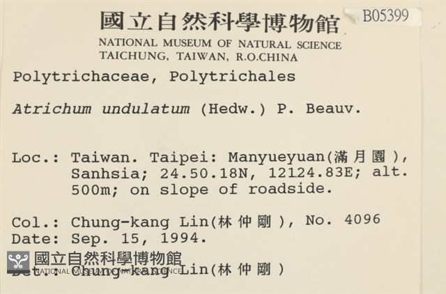 仙鶴蘚藏品圖，第2張