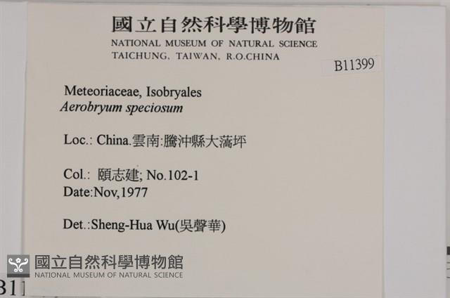 登錄號:B00011399藏品圖，第2張