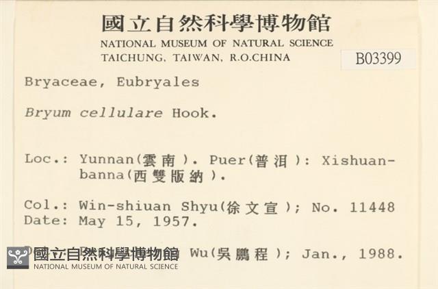 登錄號:B00003399藏品圖，第2張