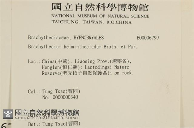 登錄號:B00006799藏品圖，第2張