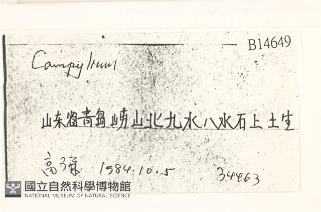 登錄號:B00014649藏品圖，第2張