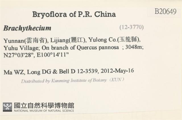 登錄號:B00020649藏品圖，第2張