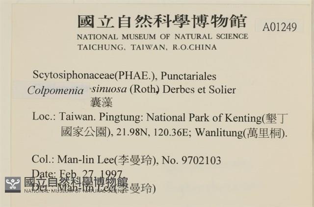 登錄號:A00001249藏品圖，第2張