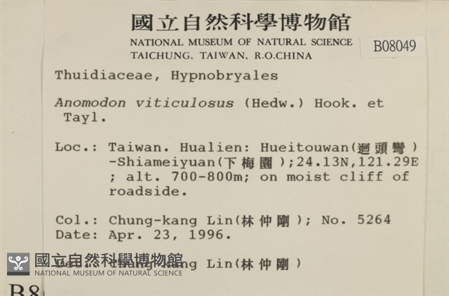 登錄號:B00008049藏品圖，第2張