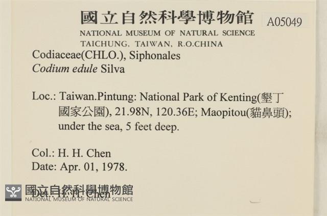 登錄號:A00005049藏品圖，第2張