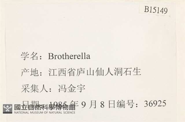 登錄號:B00015149藏品圖，第2張