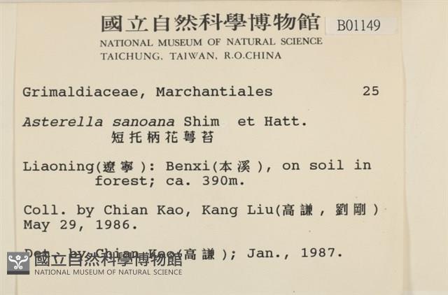 短托柄花萼苔藏品圖，第2張