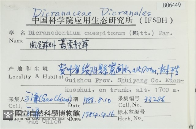 叢葉青毛蘚藏品圖，第2張
