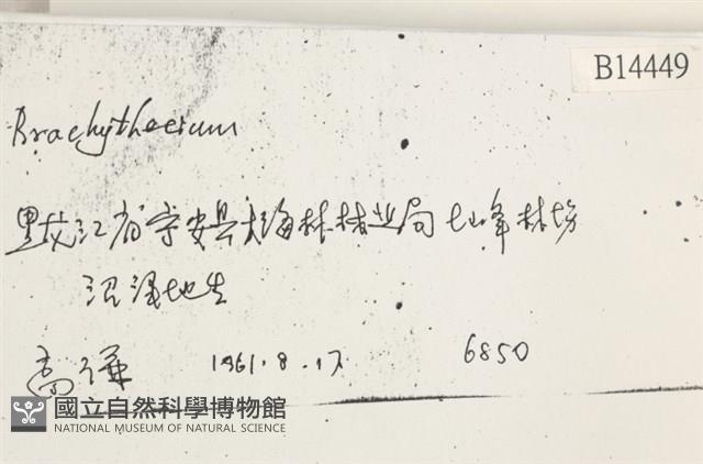 登錄號:B00014449藏品圖，第2張