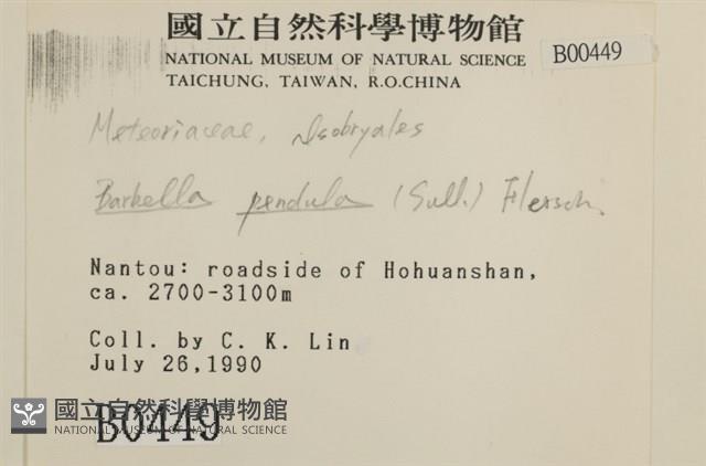 多疣懸蘚藏品圖，第2張