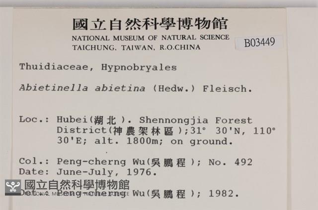 山羽蘚藏品圖，第2張