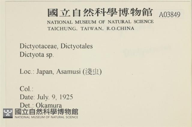 登錄號:A00003849藏品圖，第2張