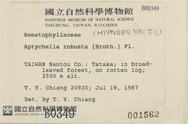 登錄號:B00000349藏品圖，第2張