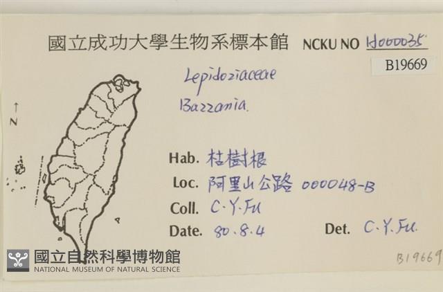 登錄號:B00019669藏品圖，第2張