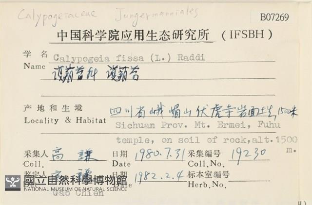 護蒴苔藏品圖，第2張