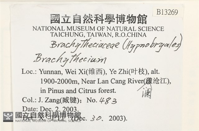登錄號:B00013269藏品圖，第2張
